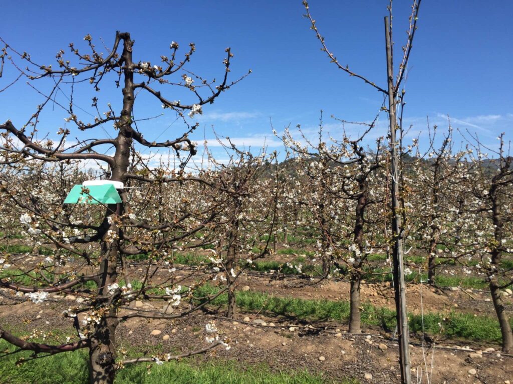 IMG 3054 2048x1536 1 1024x768