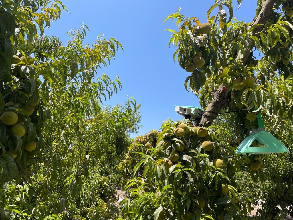 Dispositivo Neltume Agro, versión 5