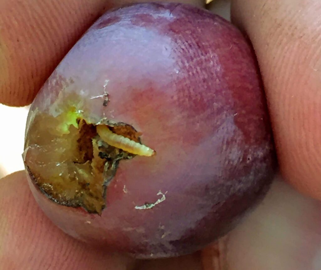 IMG 7320 1 Scaled E1676658583719 1024x862