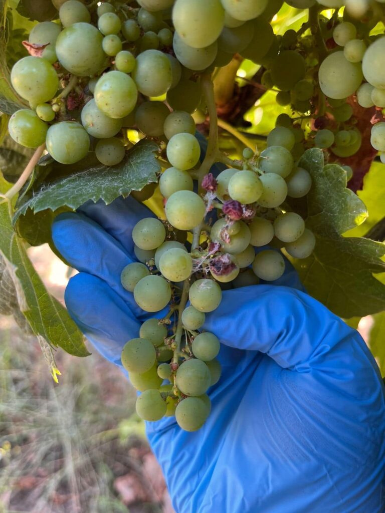 WhatsApp Image 2024 01 24 At 13.03.18 1 768x1024