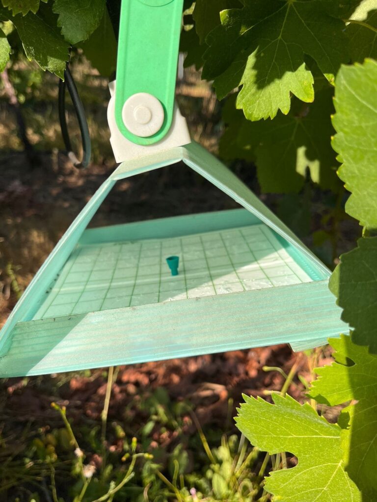 WhatsApp Image 2024 01 24 At 13.03.22 768x1024