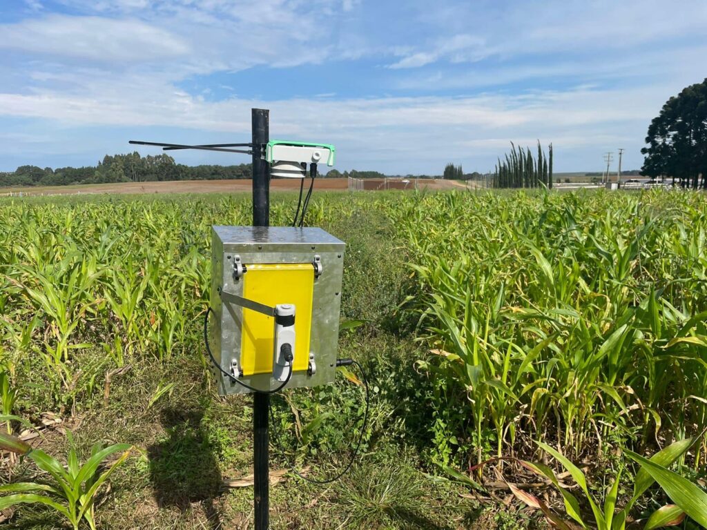 Imagen De WhatsApp 2024 05 09 A Las 14.22.02 673c6b37 1024x768