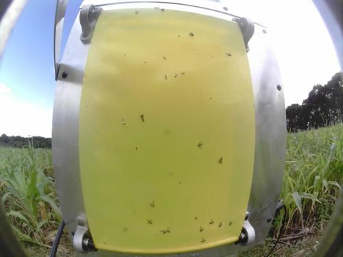 Imagen De WhatsApp 2024 05 10 A Las 12.26.54 8ed52bc9