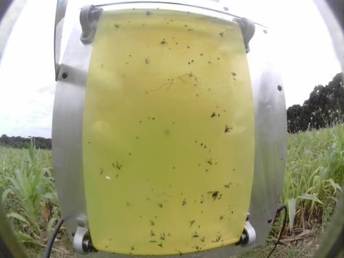 Imagen De WhatsApp 2024 05 10 A Las 12.26.55 3ff1373e