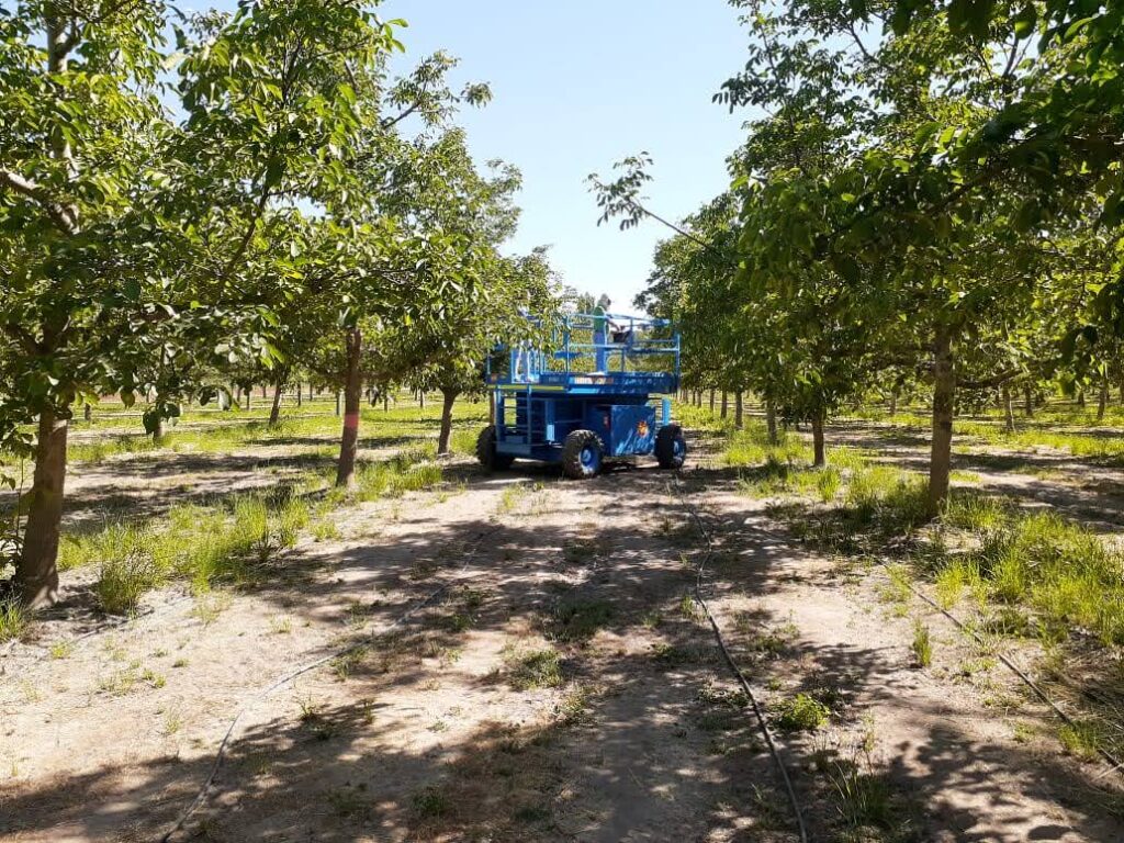 Elevador tipo tijera