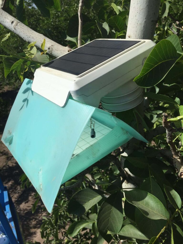 Dispositivo v4 instalado en nogales