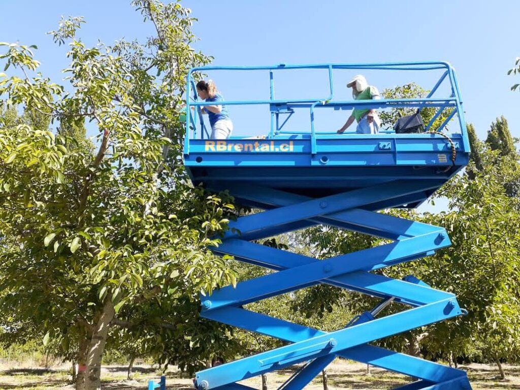 E87fc32e 65b4 42a5 B767 A0887554a2e2 1024x768