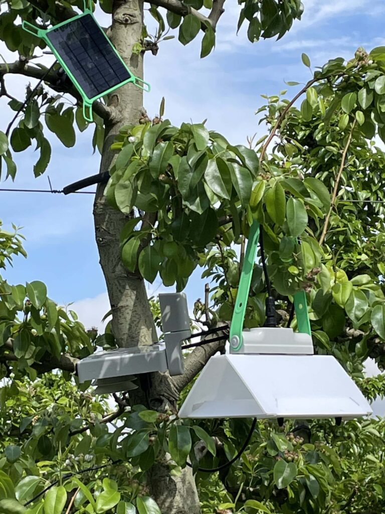 neltume tecnologia agro 3