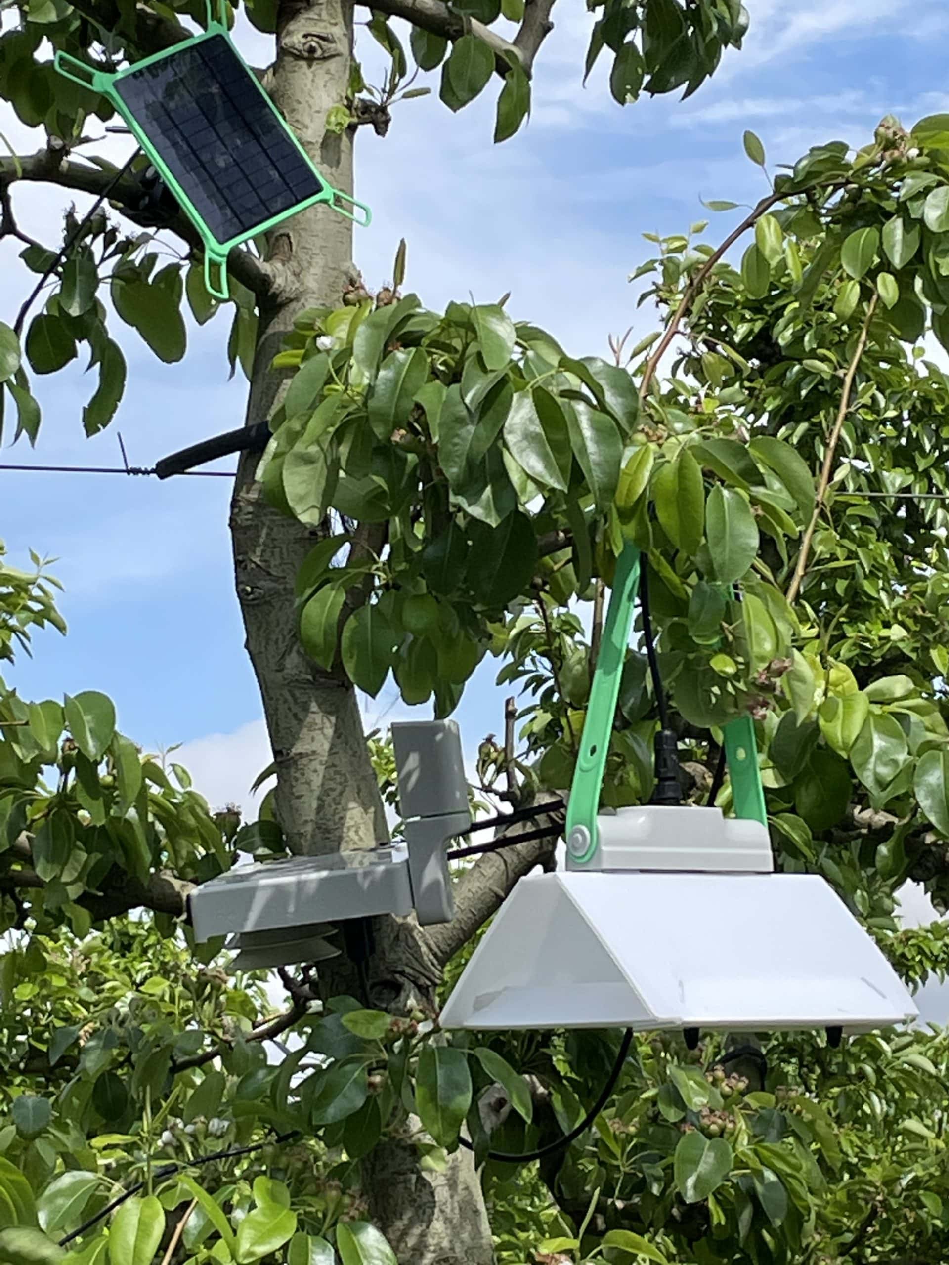 neltume tecnologia agro 3