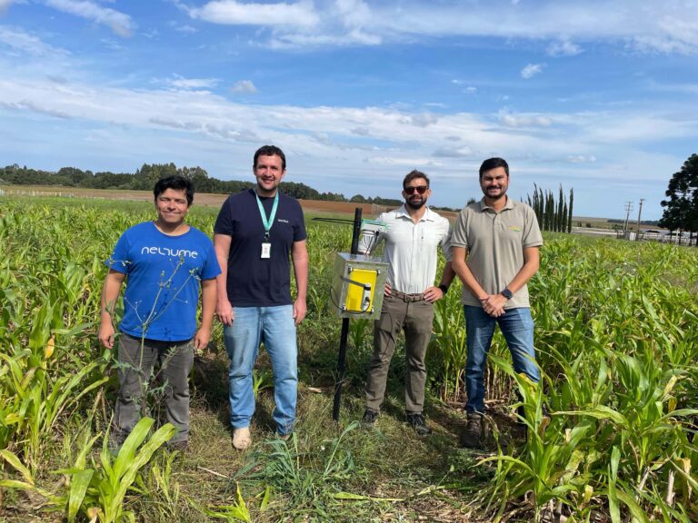 526d2b12 9e99 4c5a 852d d388025a512e