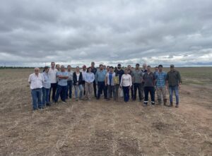 seminario chicharrita tucumán 2024