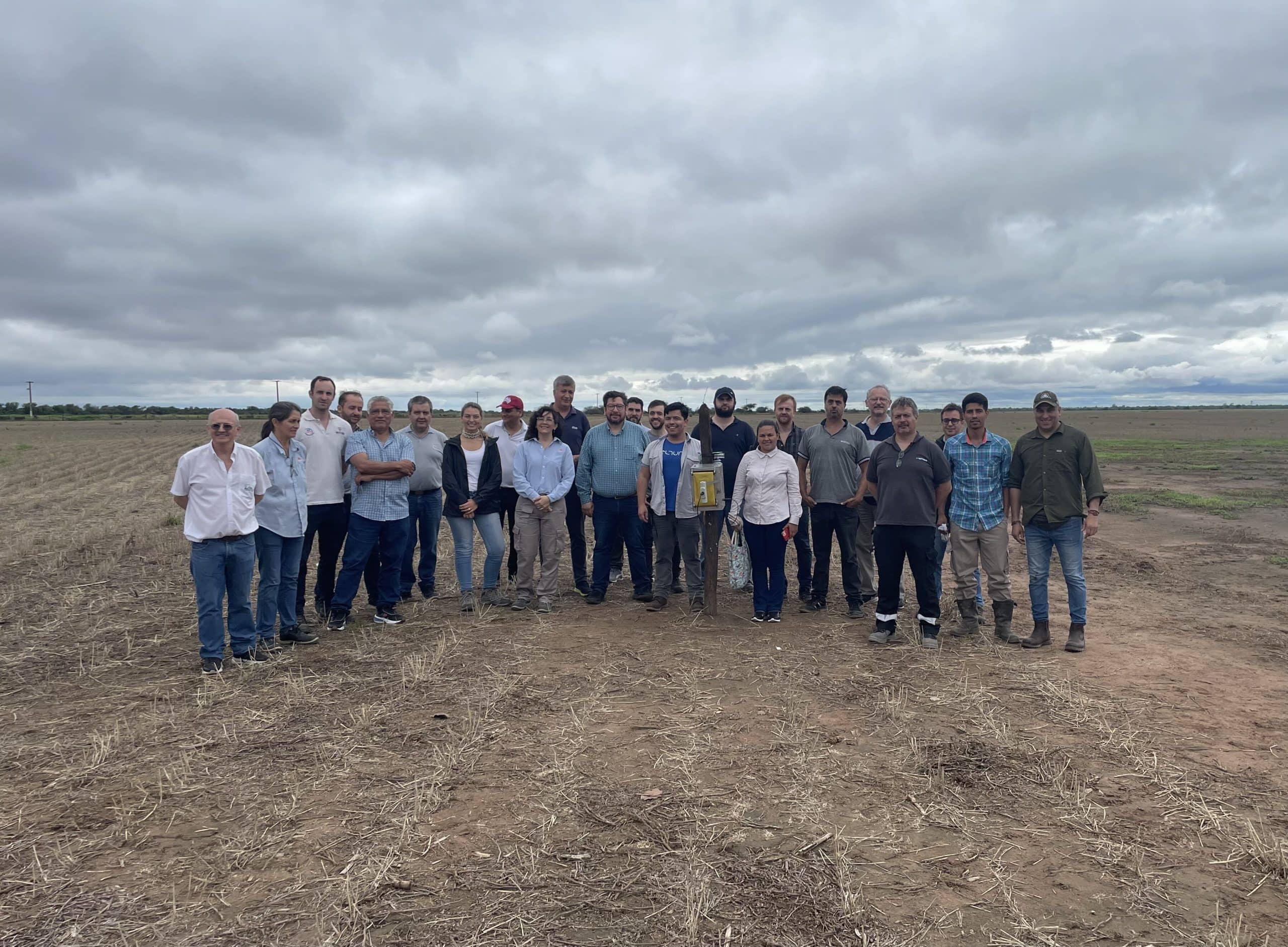 seminario chicharrita tucumán 2024