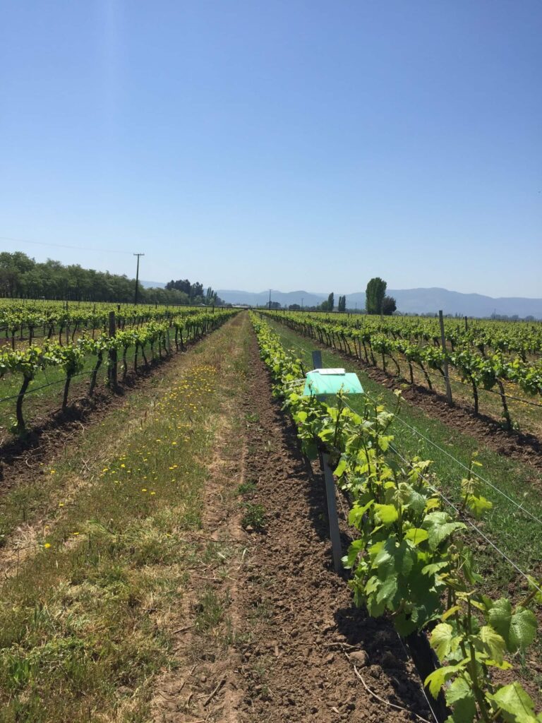 Instalación dispositivo Neltume Agro